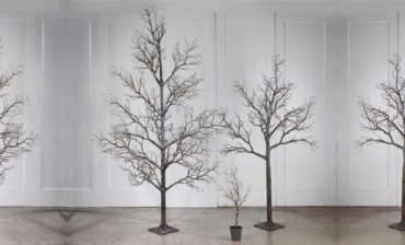 Unique Display Trees