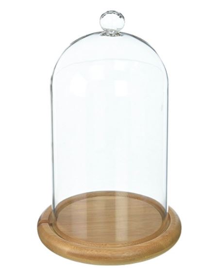 Glass Cloche - 4" x 8" Bell Jar Dome