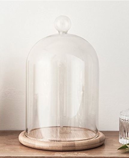Glass Cloche - 6" x 9" Bell Jar Dome