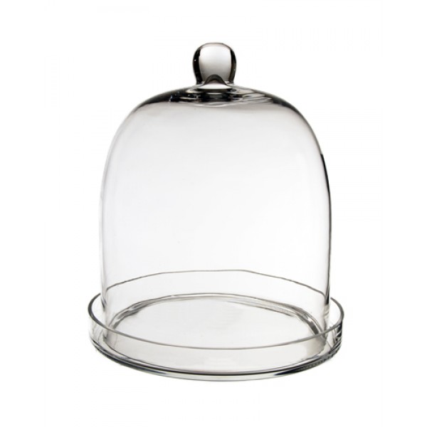 Glass Dome - Bell Jar Cloche with Glass Base - Set of 2