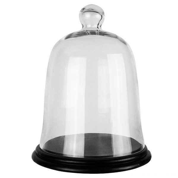 Glass Dome - Bell Jar Cloches with Base - Set of 2