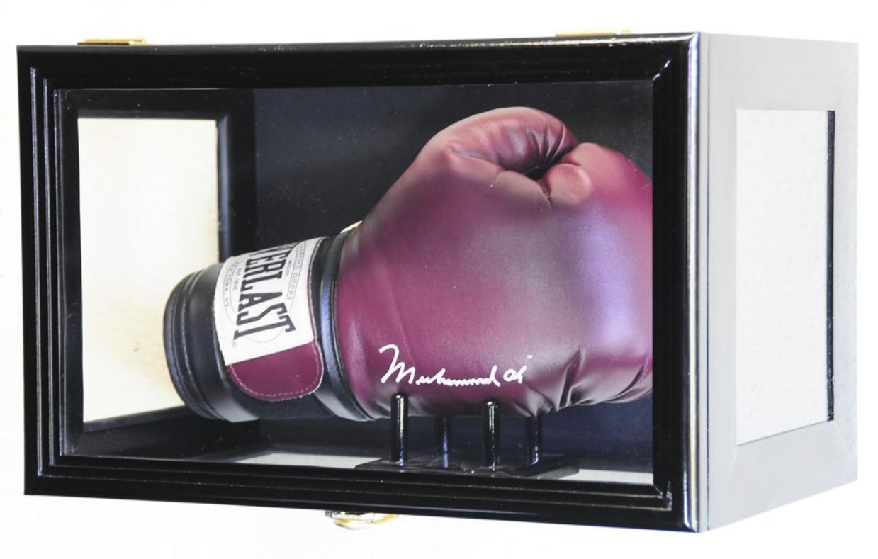 Display Case - Boxing Glove with Stand