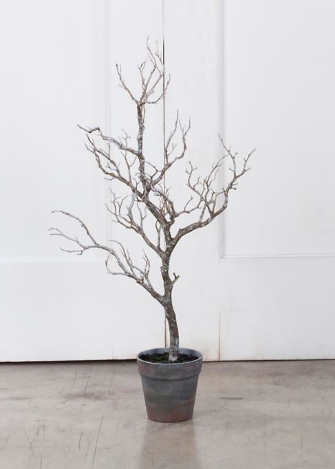 Display Trees -  Natural Deadwood - Small - Set of 2